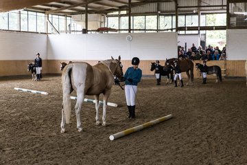 Bild 46 - Pony Akademie Turnier